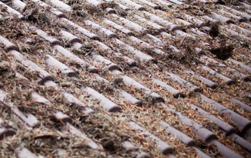 Mulvin roof cleaning companies