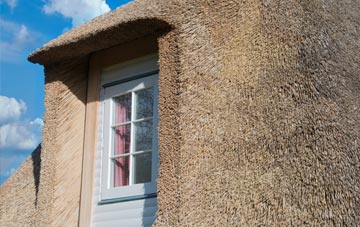 Mulvin thatch roof disadvantages