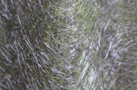 Mulvin fibreglass roof work